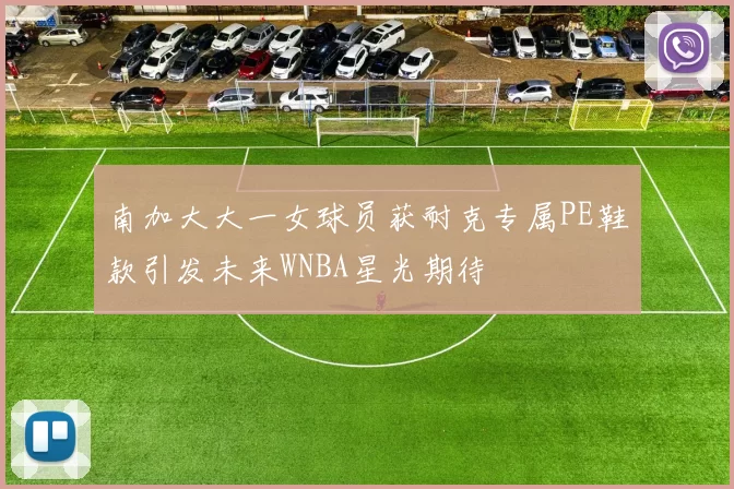 南加大大一女球员获耐克专属PE鞋款引发未来WNBA星光期待