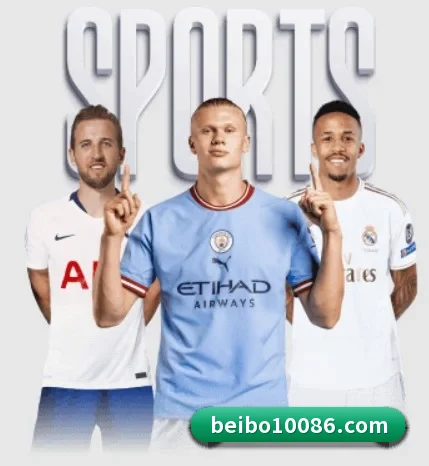 五大服务分区,信息按项目分类 - 多运动项目内容板块(BB-SPORTS)